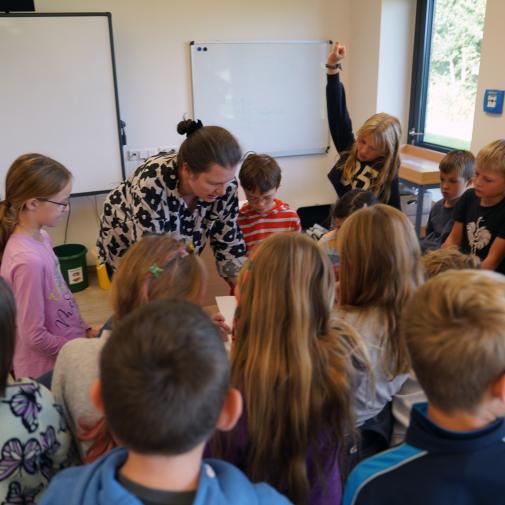 Elena Prochnow Pellworm Styropordruck September 2025 1