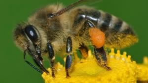 Aufwind2025 aktuell 11