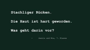 Aufwind2025 aktuell 20