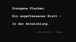 Aufwind2025 aktuell 22