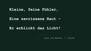 Aufwind2025 aktuell 24