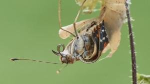 Aufwind2025 aktuell 27